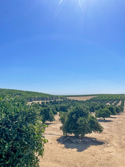 More Photos Of Famoso Rd., Bakersfield Land For Sale