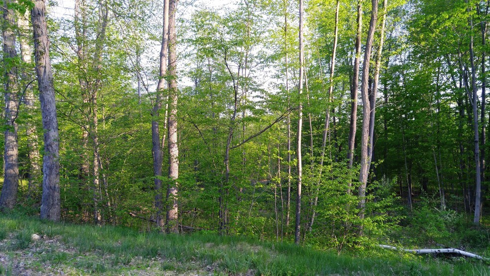 More Photos Of 312 Merrow Rd, Tolland Land For Sale