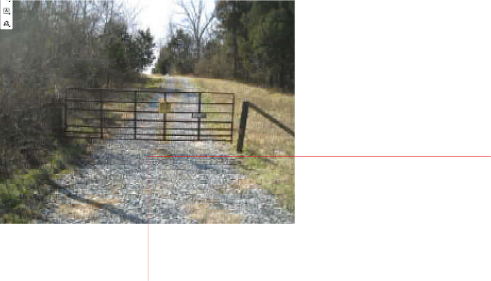 Primary Photo Of 17708 Bradbe Rd, Fisherville Land For Sale