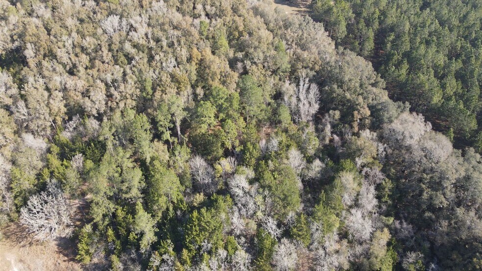 More Photos Of TBD NW 46th Avenue, Newberry Land For Sale
