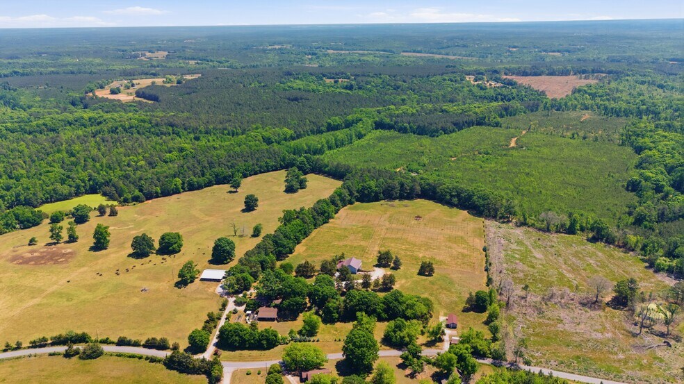 More Photos Of 1650 Dusty Rd, Newberry Winery Vineyard For Sale