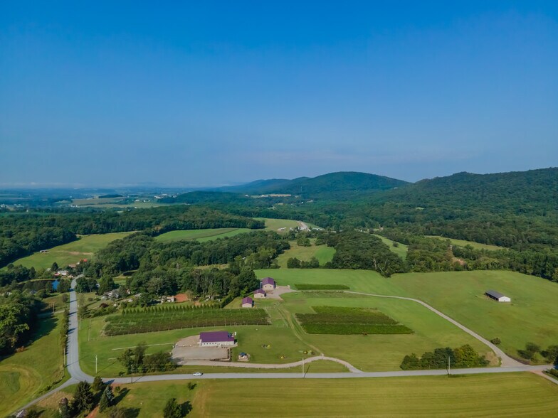 More Photos Of 596 Harman Rd, Halifax Winery Vineyard For Sale