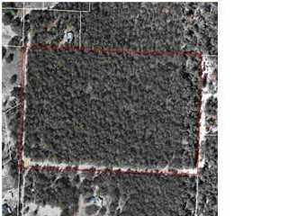 Primary Photo Of 1111 Sam O'Neal Rd, Baker Land For Sale