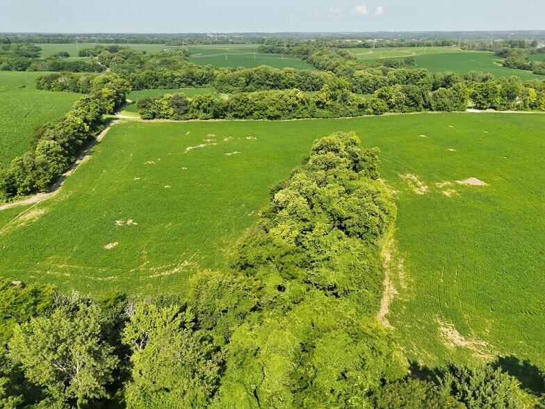 More Photos Of Walnut Hill Ln. (36.31+/- Acres), Elsberry Land For Sale