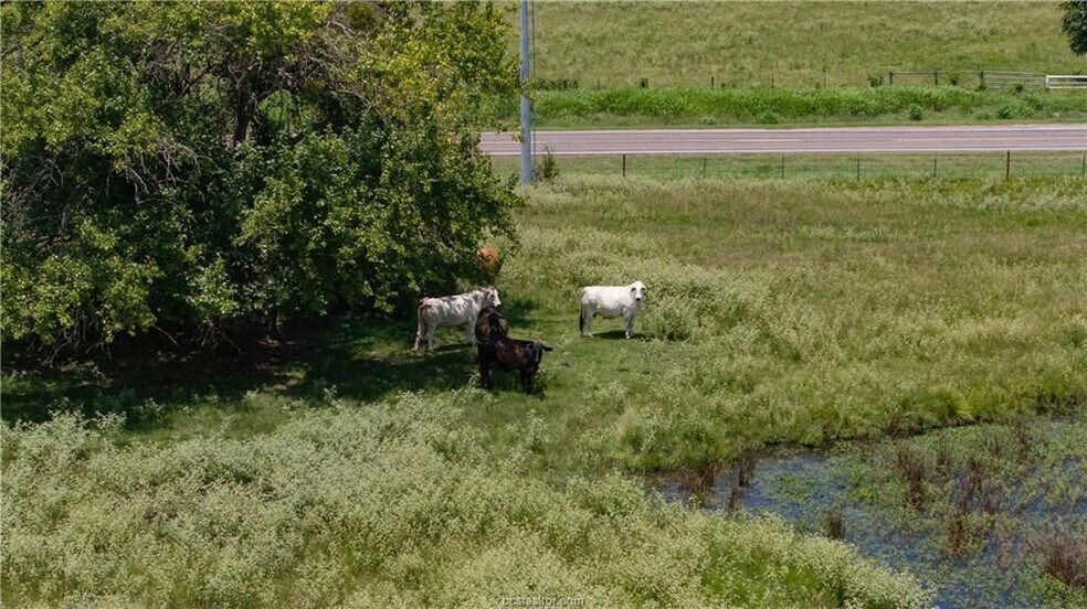 More Photos Of TBD FM 974, Bryan Land For Sale
