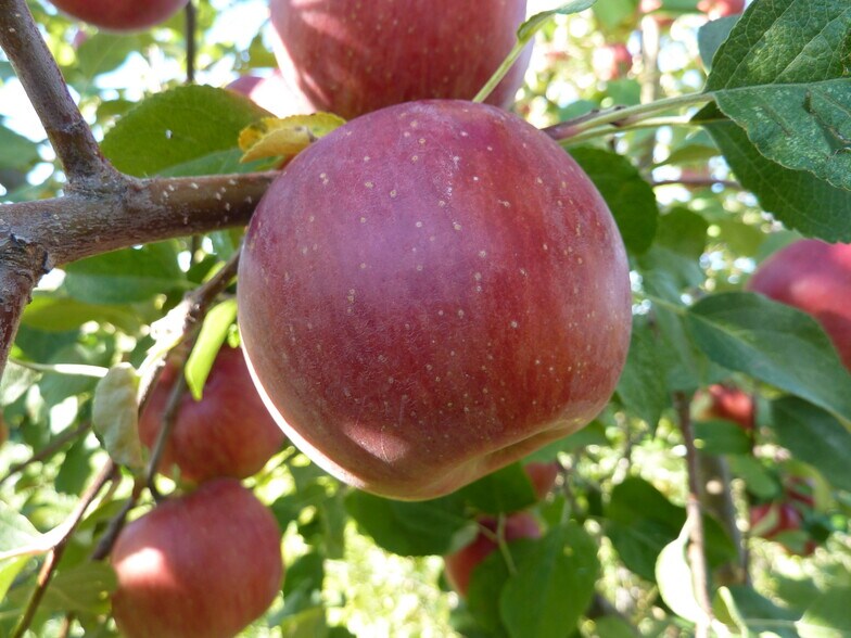 More Photos Of 157 Hergenrider Rd, Bridger Land For Sale