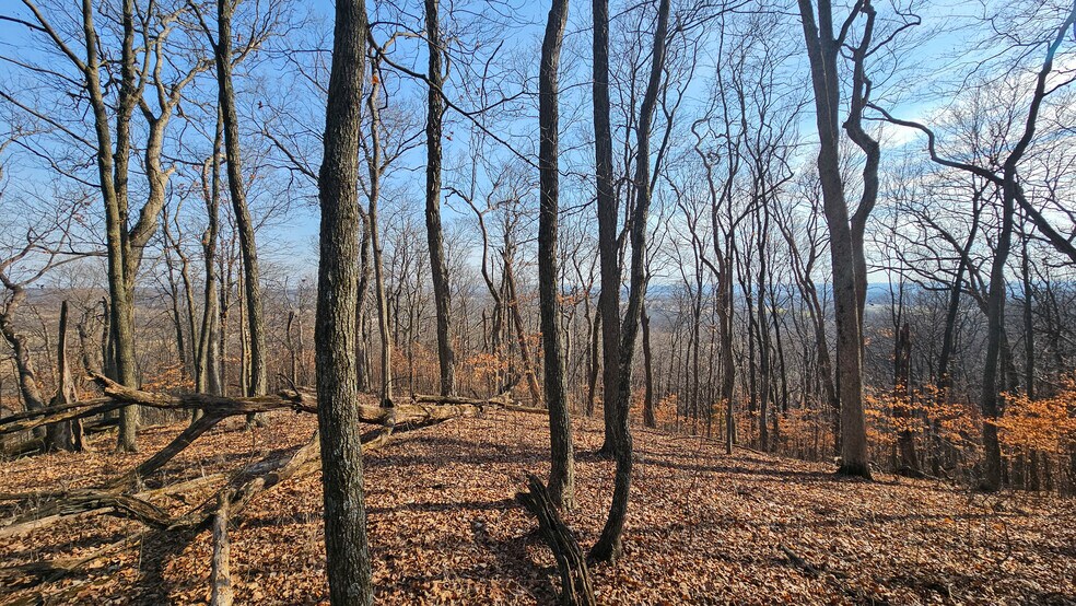 More Photos Of 205 Hemsath Rd, Augusta Land For Sale