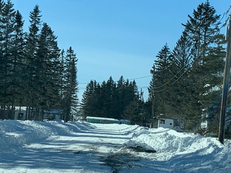 More Photos Of 149 Loring Commerce Rd, Limestone Land For Sale