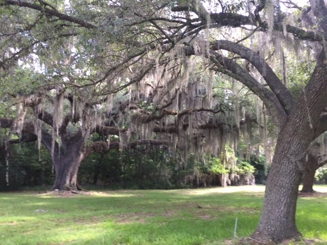 More Photos Of 1569 Pritcher Point Rd, Okatie Land For Sale