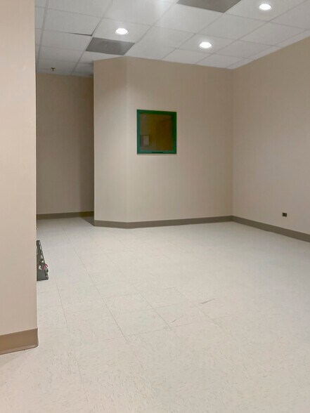 More Photos Of 333 Chestnut St, Hinsdale Medical For Lease