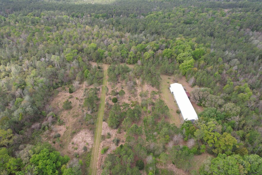 More Photos Of 12960 County Road 48, Silverhill Land For Sale