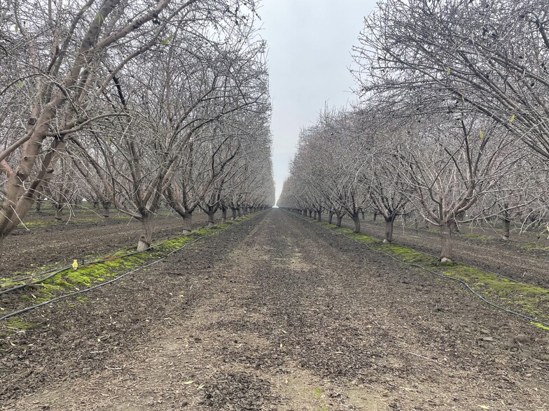 Primary Photo Of 13662 2nd ave, Hanford Land For Sale