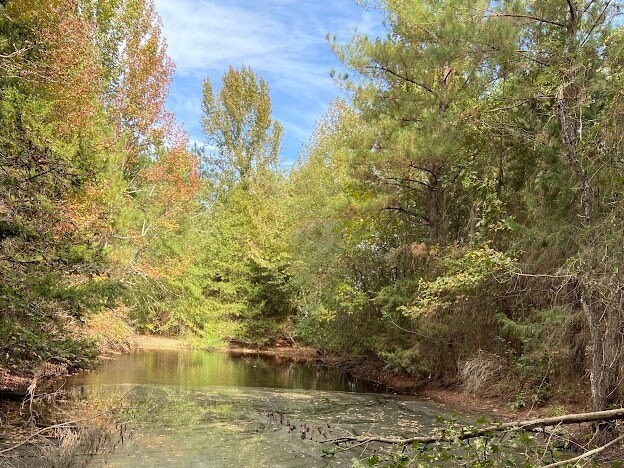 More Photos Of 0 Hwy 41S, Foreman Land For Sale