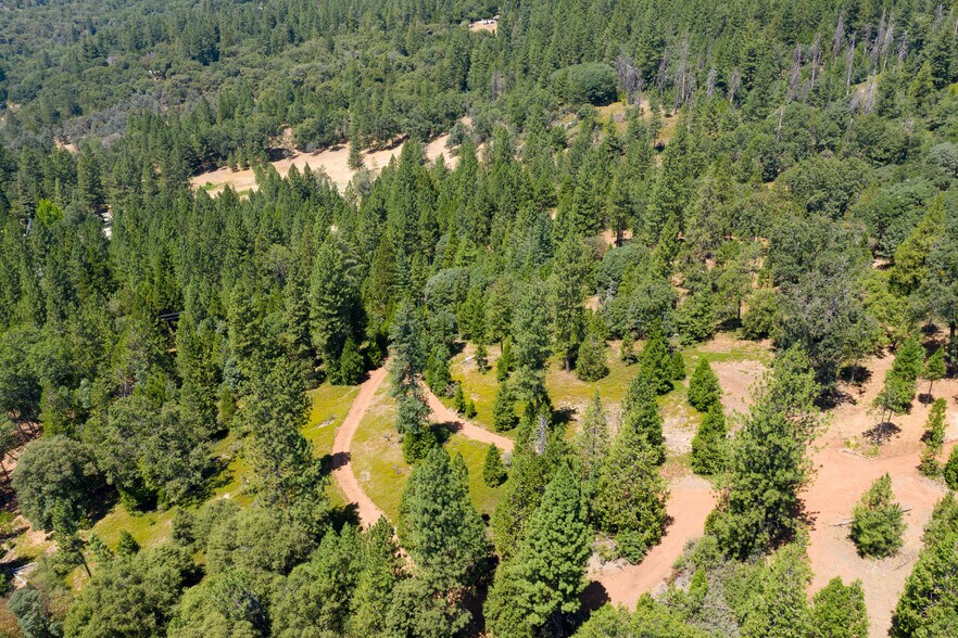 More Photos Of 25755 State Highway 88, Pioneer Land For Sale