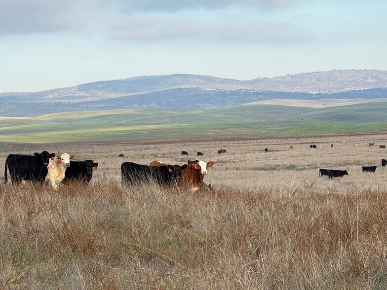 More Photos Of Dunton Rd @ CA Hwy 4, Oakdale Land For Sale