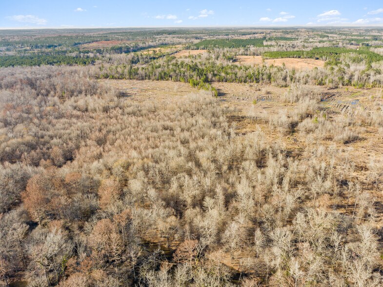 More Photos Of 7471 Hwy 155, Saline Land For Sale