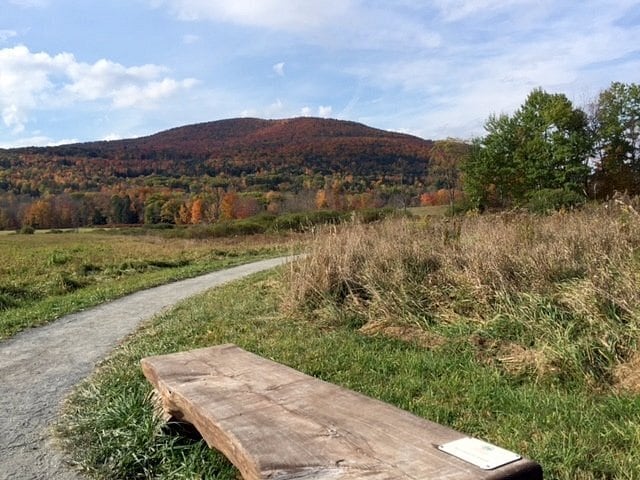 More Photos Of 218 NY-296, Windham Hotel For Sale