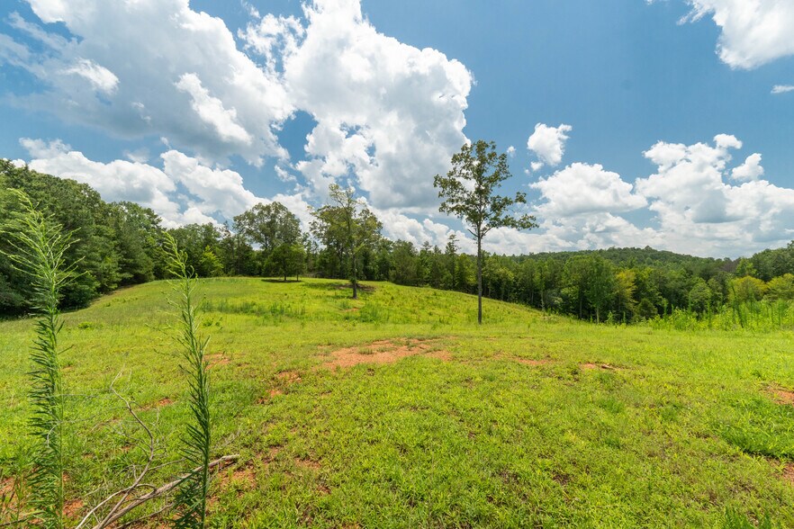 More Photos Of 1310 County Road 269, Wedowee Land For Sale