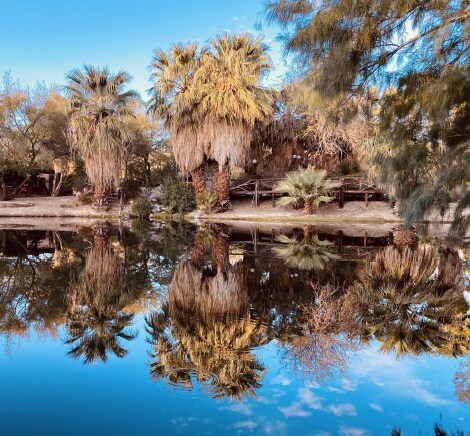 More Photos Of 14505 Yerxa Rd, Desert Hot Springs Hotel For Sale