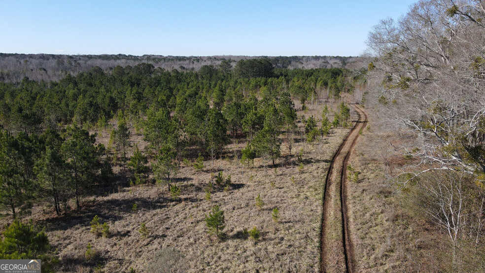 Primary Photo Of 0 Old Chipey Rd, Pine Mountain Land For Sale