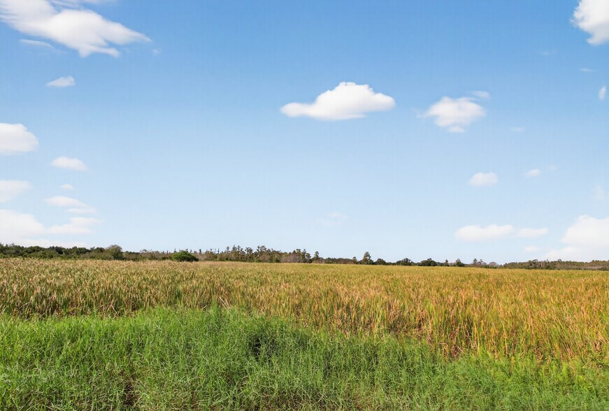 More Photos Of 8476 Ten Mile Grade, Zolfo Springs Land For Sale