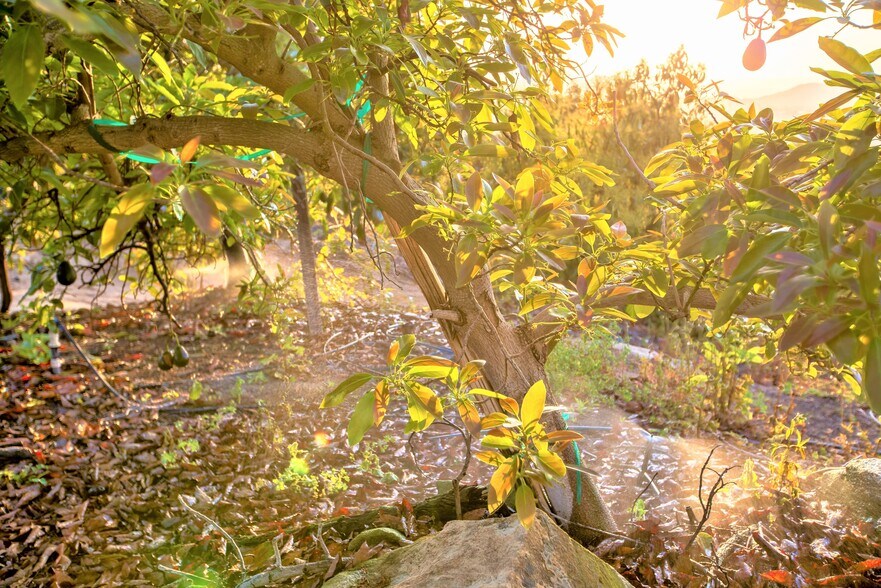 More Photos Of 6036 Rainbow Heights Rd, Fallbrook Land For Sale