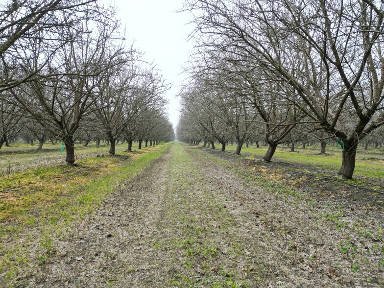 More Photos Of 8350 17 1/2 Avenue, Lemoore Land For Sale