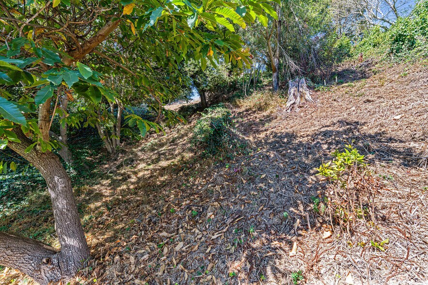 More Photos Of 614 Cragmont Ave, Berkeley Land For Sale