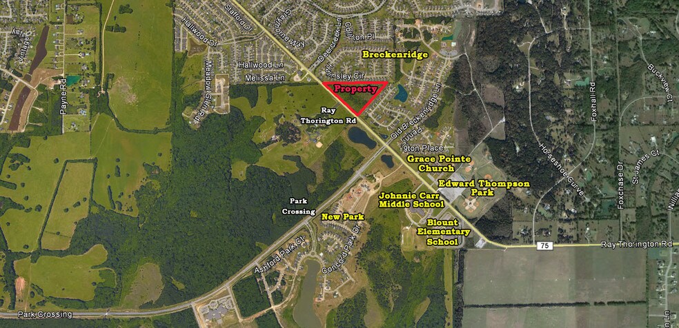 More Photos Of Ray Thorington Rd, Montgomery Land For Sale