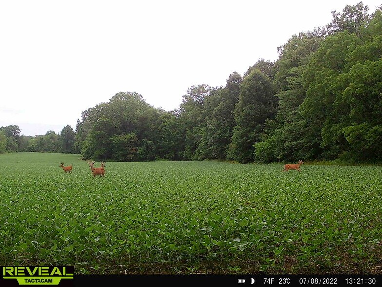 More Photos Of 7610 OH-309, Galion Land For Sale
