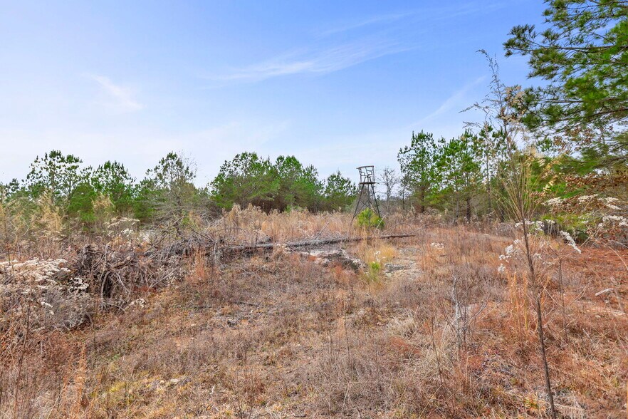 More Photos Of 16.31+/- AC Franklin Parkway Franklin GA 30217, Franklin Land For Sale