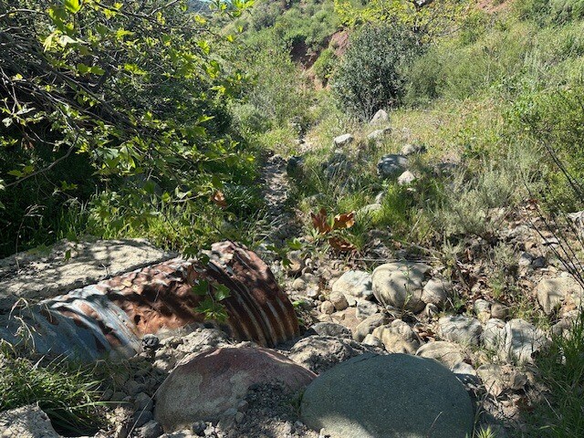 More Photos Of 28741 Williams Canyon Rd, Silverado Land For Sale