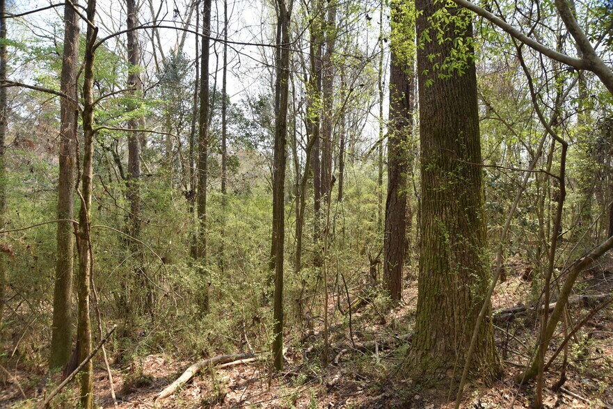 More Photos Of Warm Springs Rd @ GA-208, Waverly Hall Land For Sale