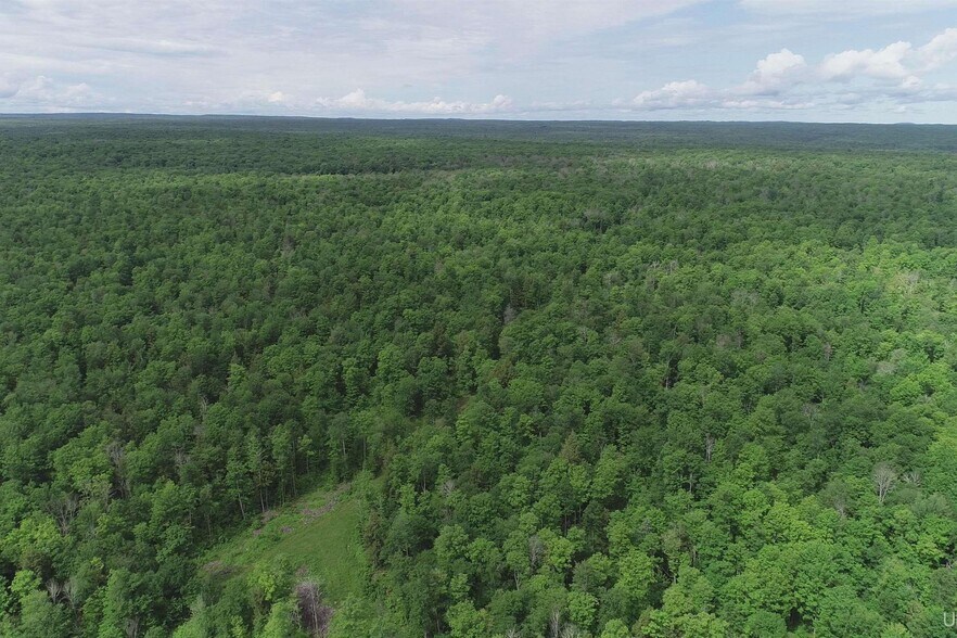 More Photos Of Laird Road Rd, Pelkie Land For Sale