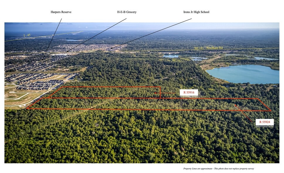 More Photos Of 53.8 Acres off Hwy 242, Conroe Land For Sale