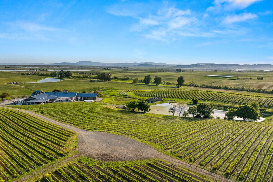 More Photos Of 2750 Las Amigas Rd, Napa Winery Vineyard For Sale