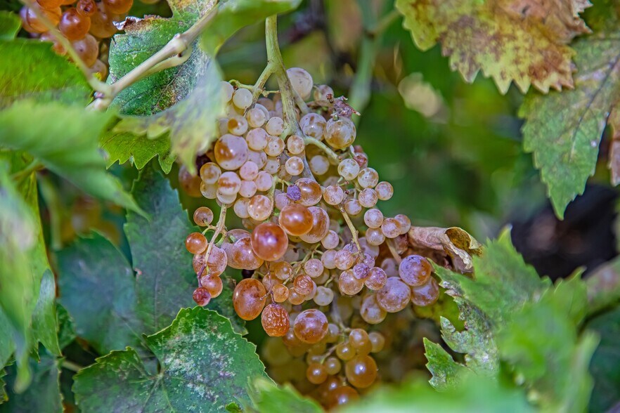 More Photos Of 40065 90th St W, Leona Valley Land For Sale