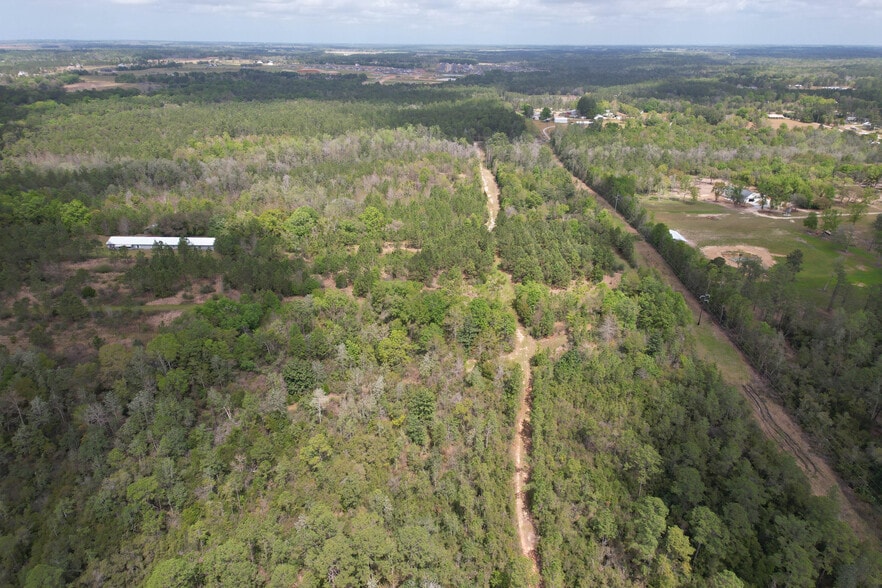 More Photos Of 12960 County Road 48, Silverhill Land For Sale