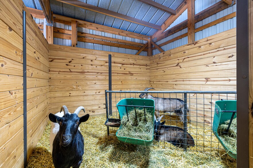 More Photos Of 8537 S Doubleheader Ranch Rd, Morrison Specialty For Sale