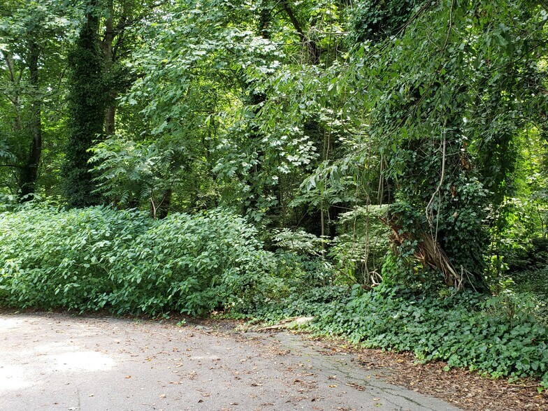 More Photos Of 548 Caribou Rd, Asheville Land For Sale