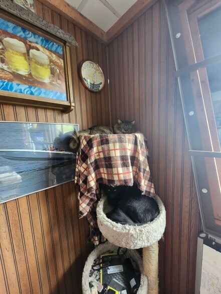 More Photos Of 7411 Outer Rd, Odessa Convenience Store For Lease