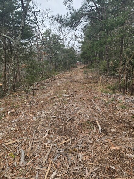 More Photos Of 150 Passion Play Rd, Eureka Springs Restaurant For Sale