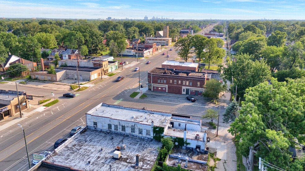 More Photos Of 16209 E Warren Ave, Detroit General Retail For Sale