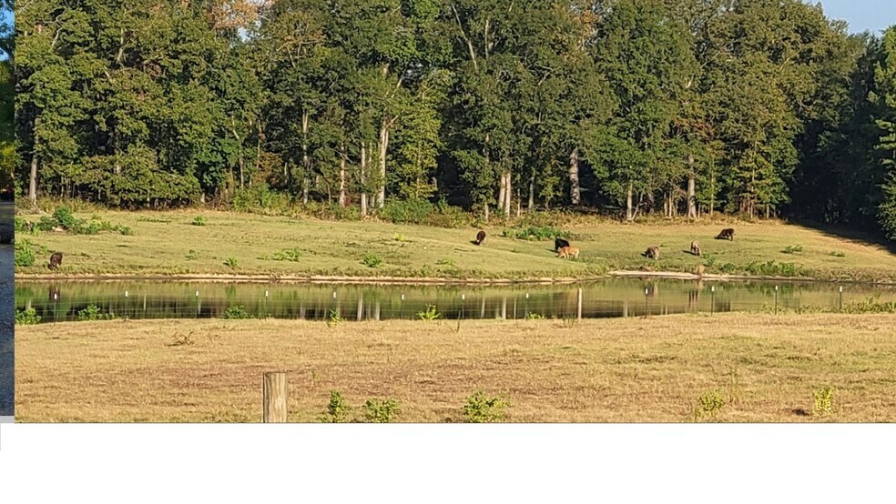 More Photos Of I 55 Frontage Rd, Terry Land For Sale