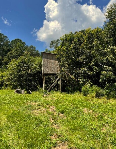 More Photos Of 17796 Dry Branch loop, Northport Land For Sale