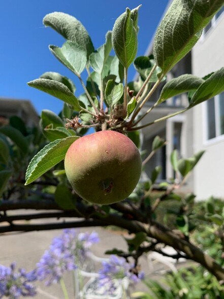 More Photos Of 837 Cowper St, Palo Alto Apartments For Sale