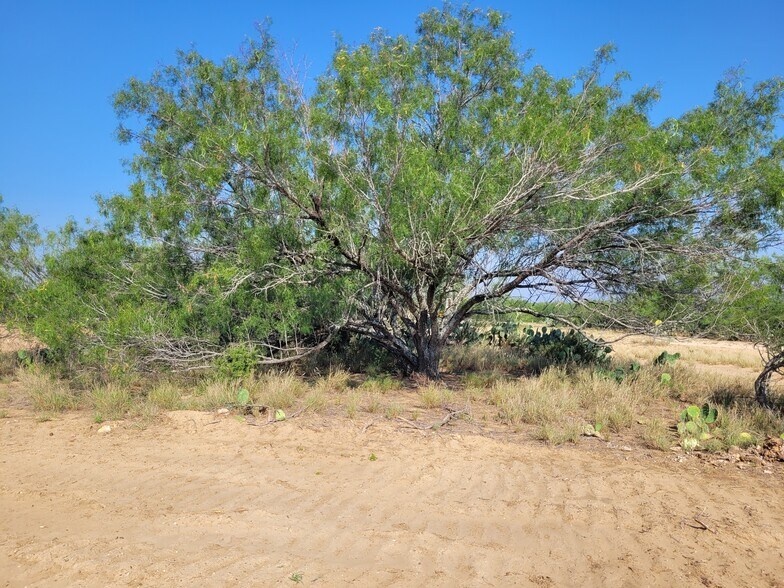 More Photos Of , Laredo Land For Sale