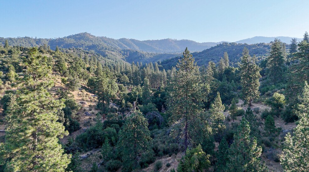 More Photos Of Whitaker Forest Road, Miramonte Land For Sale