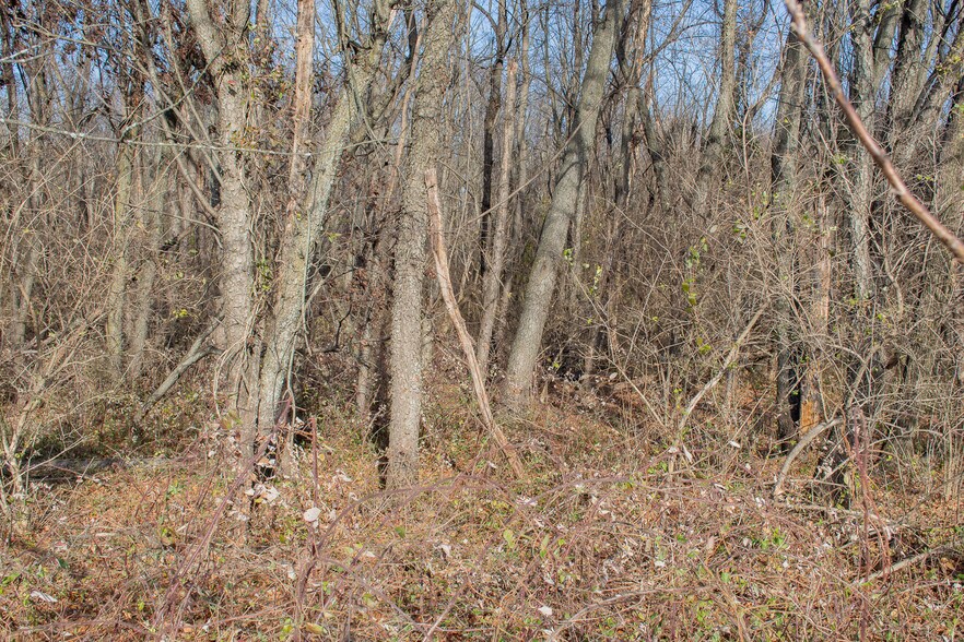 More Photos Of Remainder T.M Opequon Connector rd, Kearneysville Land For Sale