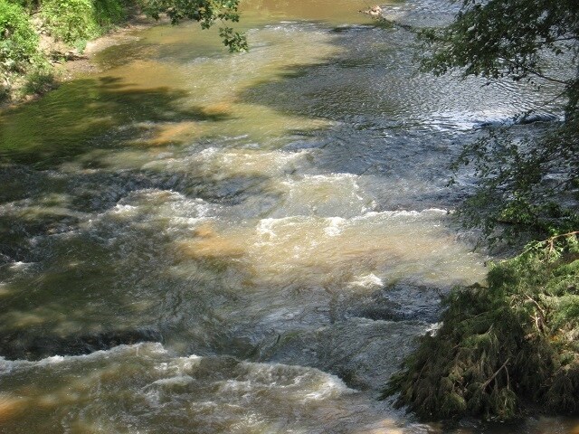 More Photos Of 189 Acres In Jones County Ms, Ellisville Land For Sale